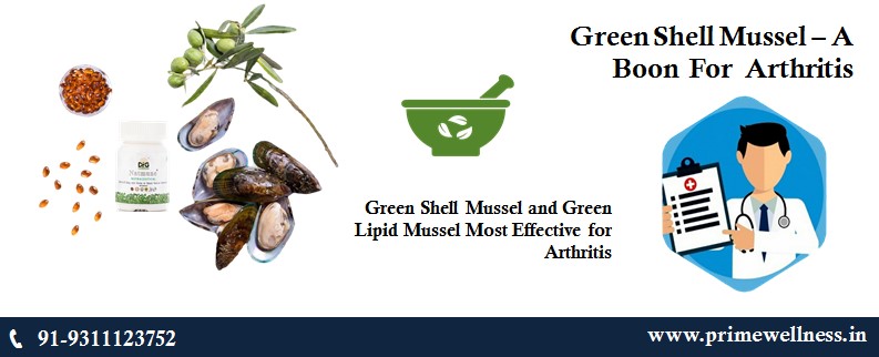 Green Shell Mussel and Green Lipid Mussel Most Effective for Arthritis